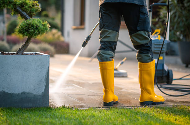 Best Pressure Washing Company Near Me  in Upper Ack, NY